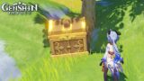 Secret Chest You Might Have Missed – Found by Accident – Genshin Impact