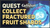 Collect Fractured Fruit Shards Genshin Impact