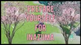 Prepare Yourself for Inazuma | Genshin Impact