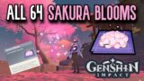 Genshin Impact: 64x Sakura Bloom Location Complete Guide | Ayaka Ascension Materials | Tutorial