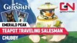Teapot Traveling Salesman – Genshin Impact Pets Emerald Peak Chubby Location