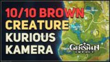 10 Brown Creature Locations Genshin Impact (Photo Subject)