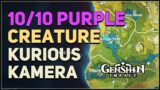 10 Purple Creature Locations Genshin Impact (Photo Subject)