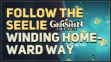 Follow the Seelie Winding Homeward Way Genshin Impact