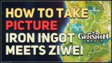 Take a picture Iron Ingot Meets Ziwei Genshin Impact