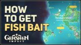 How to get Fish Bait Genshin Impact