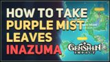 How to take Purple Mist Leaves in Inazuma Genshin Impact