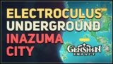 Inazuma City Underground Electroculus Location Genshin Impact