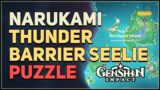 Narukami Island Thunder Barrier Seelie Puzzle Genshin Impact