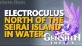 North of the Seirai Island Water Electroculus Genshin Impact