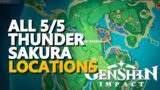 All Thunder Sakura Genshin Impact 5/5 Location