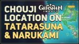 Chouji Location on Tatarasuna and Narukami Island Genshin Impact