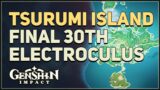 Final 30th Electroculus Tsurumi Island Genshin Impact