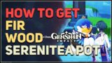 How to get Fir Wood Genshin Impact