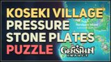 Koseki Village Pressure Stone Plates Puzzle Genshin Impact Seirai Island