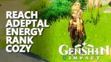 Reach Adeptal Energy Rank Cozy Genshin Impact
