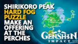 Shirikoro Peak Mist Puzzle Find Your Way through the mist Genshin Impact