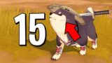 15 Things You Might Miss In "The Warrior Dog" Event (Genshin Impact)