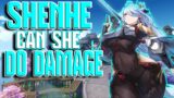 SHENHE just another SUPPORT or can she do SOME DAMAGE!?? Genshin Impact