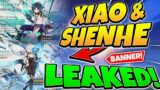 Xiao & Shenhe Banner LEAKED! + Diluc SKIN! | Genshin Impact