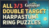 All 3 Double Target Harpastum Ring Puzzles Genshin Impact