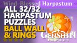 All Harpastum Puzzles Genshin Impact Ball Wall & Rings = Chests