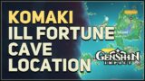 Komaki Ill Fortune Fate Cave Genshin Impact