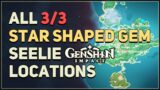 All 3 Star Shaped Gem Seelie Locations Genshin Impact Puzzle