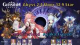 Genshin Impact Abyss 2.4 Floor 12 9 Star Yae Miko Overload and Freeze Ayaka