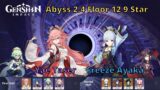Genshin Impact Abyss 2.4 Floor 12 9 Star Yae Taser and Freeze Ayaka