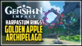 All Harpastum Ring Puzzles Genshin Impact