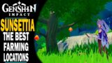 GENSHIN IMPACT – THE BEST LOCATIONS TO FIND SUNSETTIA FRUIT – 10 LOCATIONS – AN EASY WAY TO FARM