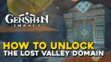 Genshin Impact How To Unlock The Lost Valley Domain (How To Unlock The Chasm Domain)
