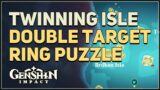 Twinning Isle Double Target Ring Puzzle Genshin Impact