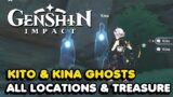 Genshin Impact – Kito & Kina All Locations (Tsurumi Island Day 4 Secret)