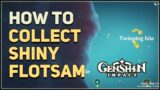 How to Collect Shiny Flotsam Genshin Impact
