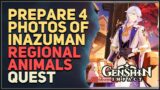 Prepare 4 photos of Inazuman regional animals Genshin Impact