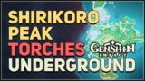 Shirikoro Peak Underground Pyro Torches Puzzle Genshin Impact