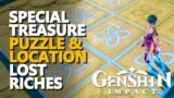 Special Treasure Genshin Impact Puzzle Lost Riches