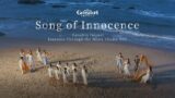 "Song of Innocence": Inazuma Chapter OST Album 2 – Through the Mists Theme MV | Genshin Impact