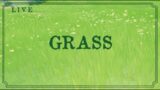 Grass is green (Genshin Impact)