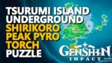Tsurumi island Underground Shirikoro Peak Pyro Fire Torch Puzzle Genshin Impact