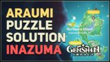 Araumi Puzzle Solution Genshin Impact