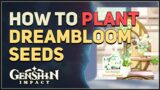 How to plant Dreambloom Seed Genshin Impact