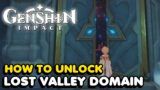 How To Unlock The Lost Valley Domain In Genshin Impact (The Chasm Domain)