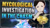 Mycological Investigation in The Chasm World Quest (Starshrooms Locations) Genshin Impact Puzzles