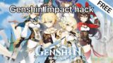 Genshin Impact Hack / Full Mod Menu / Genshin Impact Cheat / PC Version