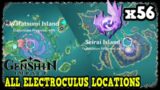 All 56 Electroculus Locations in Genshin Impact (Inazuma 2.1 Update)