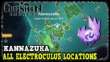 Genshin Impact Kannazuka All Electroculus Locations PART 2