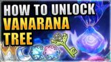 How to unlock Vanarana Tree (Sumeru Sacred Sakura) Genshin Impact 3.0 Sumeru Puzzle